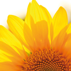 Humburg Haustechnik | Mein Bad. Meine Wärme.