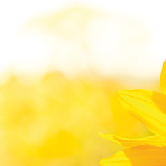 Humburg Haustechnik | Mein Bad. Meine Wärme.